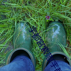 宇都宫(gōng)紫苑(yuàn)(宇(yǔ)都宮(gōng)しをん)