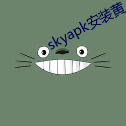 skyapk安装黄