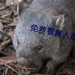 免費看真人直播在線