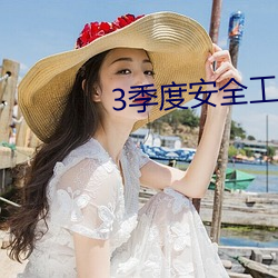 3季度安全工作目標及達成結果