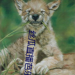 絲瓜直播芭樂視頻