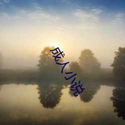 成人(rén)小(xiǎo)说