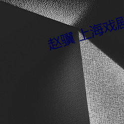 赵骥 上海戏剧学院