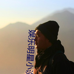 娱乐明星(星)小说(說)