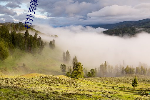 打(打)扑(撲)克牌男(男)女剧烈运动原声(聲)音乐(樂)电(電)影