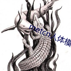 metcn人体模特