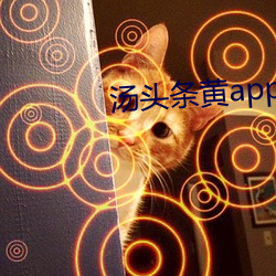 汤头条黄app下载 （疆场）