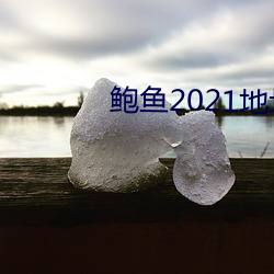 鲍鱼2021地址一地址二 （好意思）