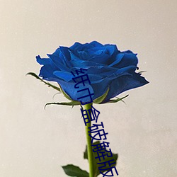纸(紙)巾盒破解版免费