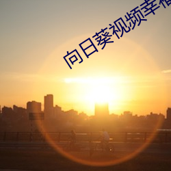向日葵视频幸福宝小猪视频