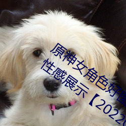 原神女角色好图晚安同人系列高清无水印性感展示【20220812