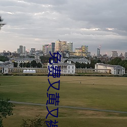 免费又黄又裸乳的视频