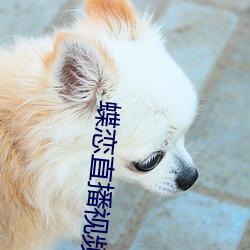 蝶恋直播视频在线观看