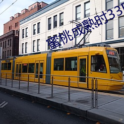 蜜桃成熟时33D高清