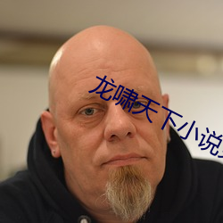 龙啸天下小(小)说(說)免费阅(閱)读(讀)