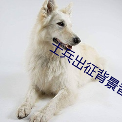 士(士)兵出征背景音乐