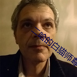 二哈(hā)的白(bái)猫师尊