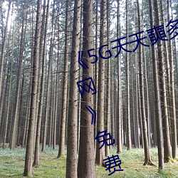 《5G天(tiān)天奭多(duō)人运动(dòng) 在线观看免费网(wǎng)》免费(fèi)高(gāo)清在线(xiàn)观看