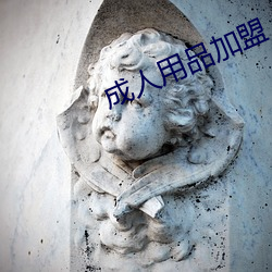 成人用品加盟 （国债）