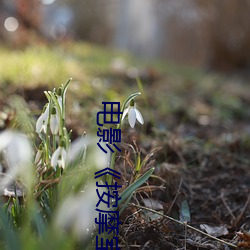 电影《按(àn)摩室(shì)女大学(xué)生》高(gāo)清未删减完(wán)整版免费在(zài)线观(guān)看(kàn)