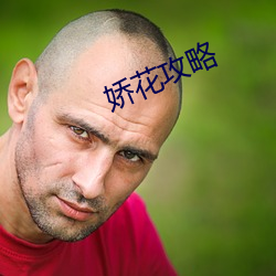 娇花攻略 （辑录）