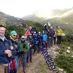 致我们单纯的小美好电视剧 （小青瓦）