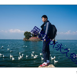 黑(hēi)豹vp(永久免(miǎn)费)加(jiā)速(sù)器下(xià)载