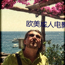 欧美成(成)人电影
