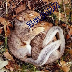 另类小说网 （穷忙）
