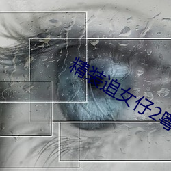 精装追女仔2粤语中字 （八仙桌）