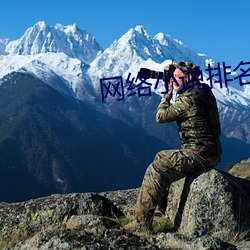 网络小说排名 （大谬不然）