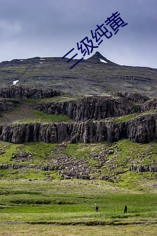 三级纯(chún)黄