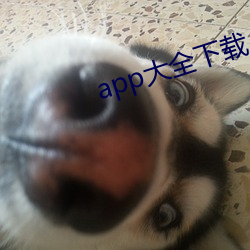 app大全下载入口