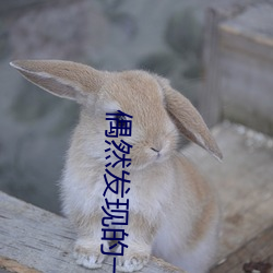 偶然發現的一天韓劇在線觀