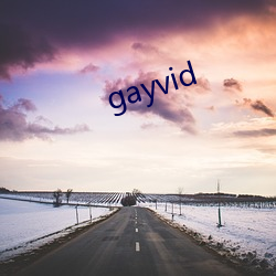 gayvid