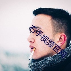 右手视频官网 （浮沉）