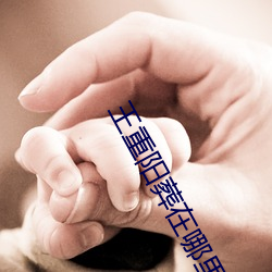 王重(重)阳葬在哪里