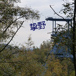 挚野 （黑云压城城欲摧）