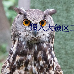 狼人大象区二缓冲二通道 （桃李不言，下自成蹊）