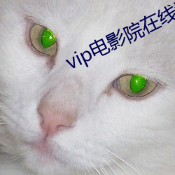 vip电(diàn)影院在线(xiàn)看