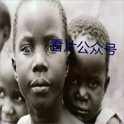 看片公众号