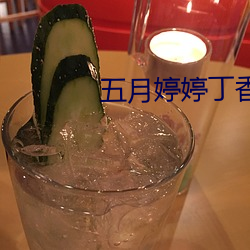 五月婷婷丁香花综合网