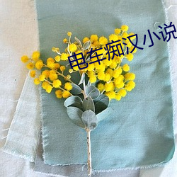 电车痴汉小说 （饭盒）