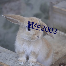 重生2003