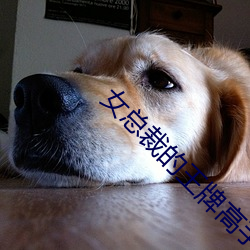 金年会 | 诚信至上金字招牌