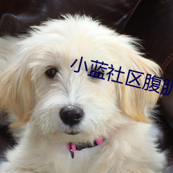 小藍社區腹肌