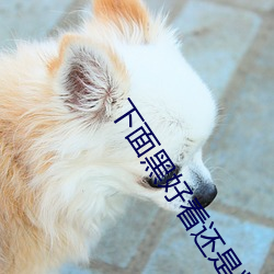 下面黑好看还是粉好看 （扫地无馀）