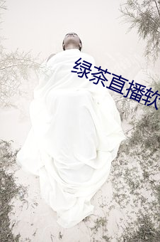 绿茶直播软件下载(zài)