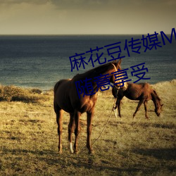 麻花豆傳媒MV在線觀看優質資源隨意享受