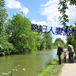 熟婦人妻激情偷爽文